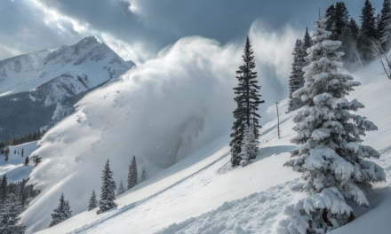 We spoke with the avalanche that took out the Big Chill Soiree for Tech Bros in Aspen